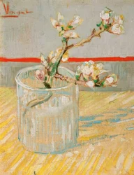 Blooming Almond Branch in a Glass